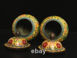 Xuan Signed Pair Old Chinese Bronze Cloisonne Enamel Vase withflower