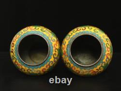Xuan Signed Pair Old Chinese Bronze Cloisonne Enamel Vase withflower