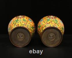 Xuan Signed Pair Old Chinese Bronze Cloisonne Enamel Vase withflower