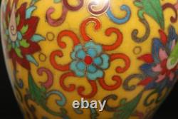 Xuan Signed Pair Old Chinese Bronze Cloisonne Enamel Vase withflower