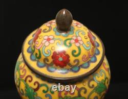 Xuan Signed Pair Old Chinese Bronze Cloisonne Enamel Vase withflower